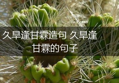 久旱逢甘霖造句 久旱逢甘霖的句子