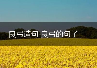 良弓造句 良弓的句子
