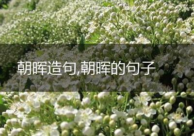 朝晖造句,朝晖的句子