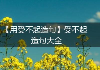 【用受不起造句】受不起造句大全