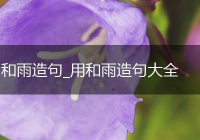 和雨造句_用和雨造句大全
