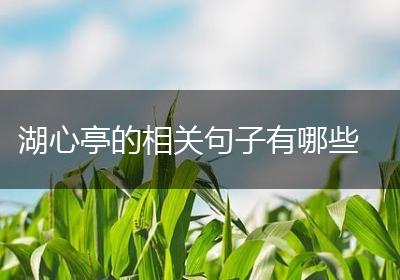 湖心亭的相关句子有哪些