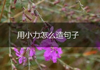 用小力怎么造句子