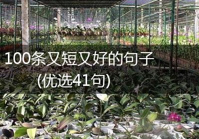 100条又短又好的句子(优选41句)