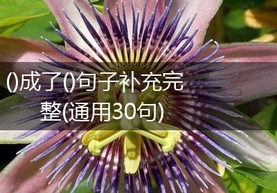 ()成了()句子补充完整(通用30句)