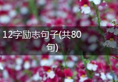 12字励志句子(共80句)