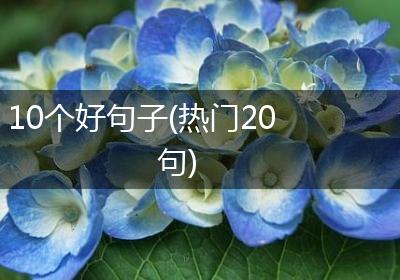 10个好句子(热门20句)