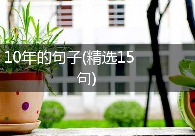 10年的句子(精选15句)