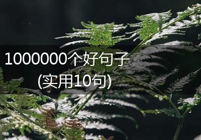 1000000个好句子(实用10句)