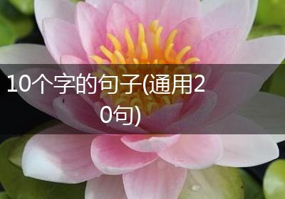 10个字的句子(通用20句)