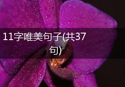 11字唯美句子(共37句)