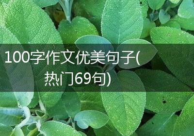 100字作文优美句子(热门69句)