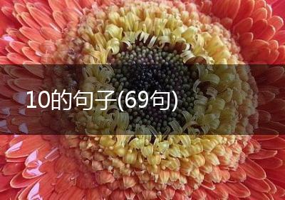 10的句子(69句)