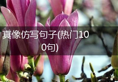 真像仿写句子(热门100句)