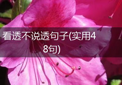 看透不说透句子(实用48句)