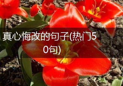 真心悔改的句子(热门50句)