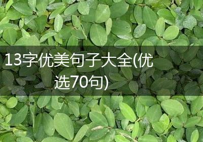 13字优美句子大全(优选70句)