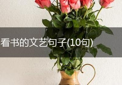 看书的文艺句子(10句)