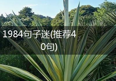 1984句子迷(推荐40句)