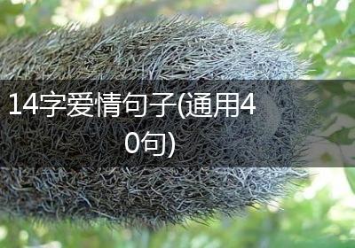 14字爱情句子(通用40句)