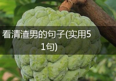 看清渣男的句子(实用51句)