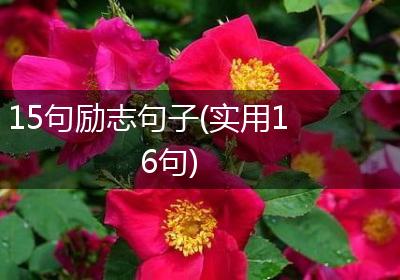 15句励志句子(实用16句)