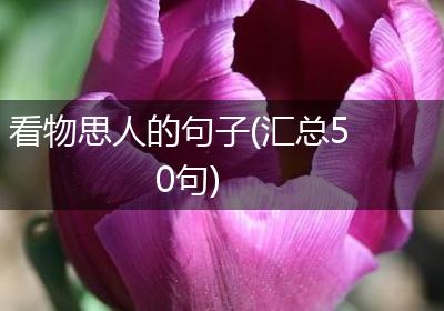看物思人的句子(汇总50句)