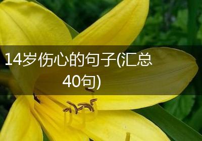 14岁伤心的句子(汇总40句)
