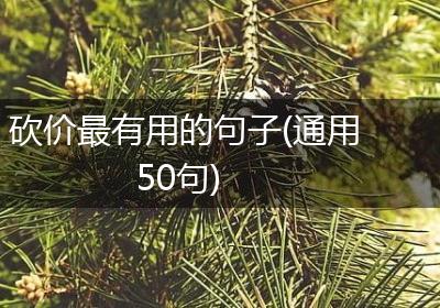 砍价最有用的句子(通用50句)