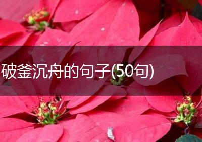 破釜沉舟的句子(50句)