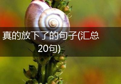 真的放下了的句子(汇总20句)