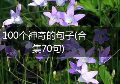 100个神奇的句子(合集70句)