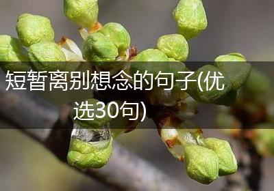短暂离别想念的句子(优选30句)