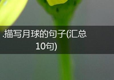 .描写月球的句子(汇总10句)