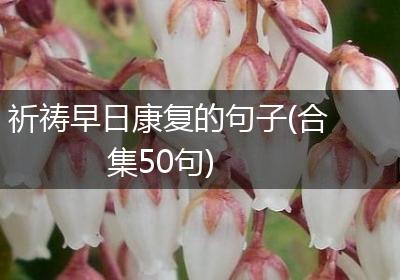 祈祷早日康复的句子(合集50句)