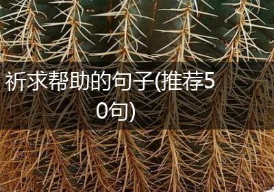 祈求帮助的句子(推荐50句)