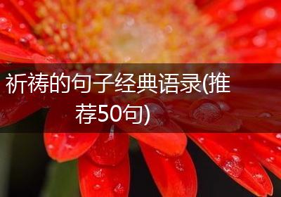祈祷的句子经典语录(推荐50句)