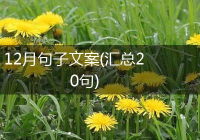 12月句子文案(汇总20句)