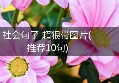 社会句子 超狠带图片(推荐10句)