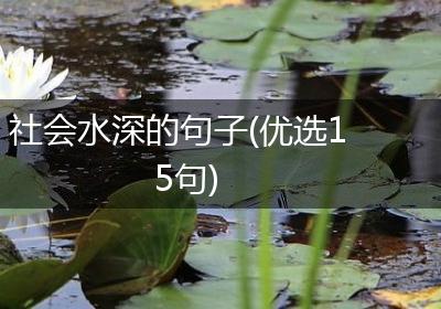 社会水深的句子(优选15句)