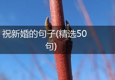 祝新婚的句子(精选50句)