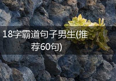 18字霸道句子男生(推荐60句)