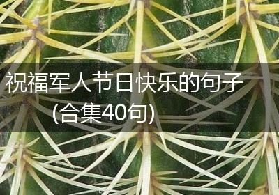 祝福军人节日快乐的句子(合集40句)