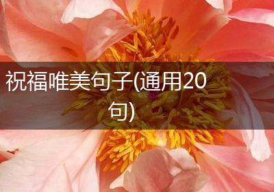 祝福唯美句子(通用20句)