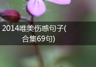 2014唯美伤感句子(合集69句)