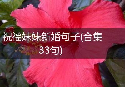 祝福妹妹新婚句子(合集33句)