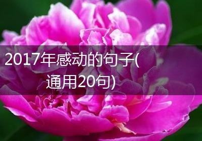 2017年感动的句子(通用20句)