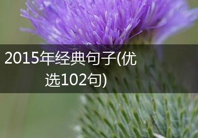 2015年经典句子(优选102句)