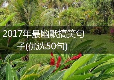 2017年最幽默搞笑句子(优选50句)