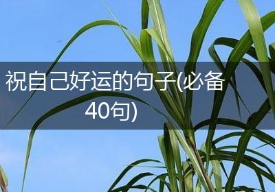 祝自己好运的句子(必备40句)